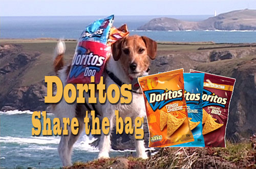 Doritos Dog Jack