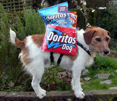 All packed. 1-2-3 go Doritos Dog!