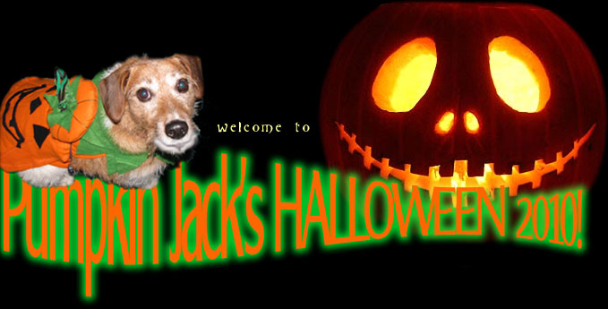 Pumpkin Jack the dog's Halloween 2010 Trick or Treat Friends Photos