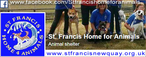 St Francis Home for Animals where Mum and Dad got me