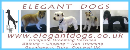 Elegant Dogs - Complete Grooming Services Bathing, Clipping, Nail Trimming, Truro Cornwall UK