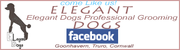 Elegant Dogs -oLike us n Facebook - Complete Grooming Services Bathing, Clipping, Nail Trimming, Truro Cornwall UK