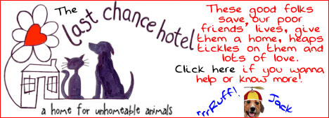 The Last Chance Hotel - a home for unhomeable animals